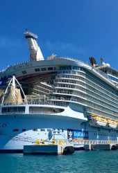 Crucero Crucero